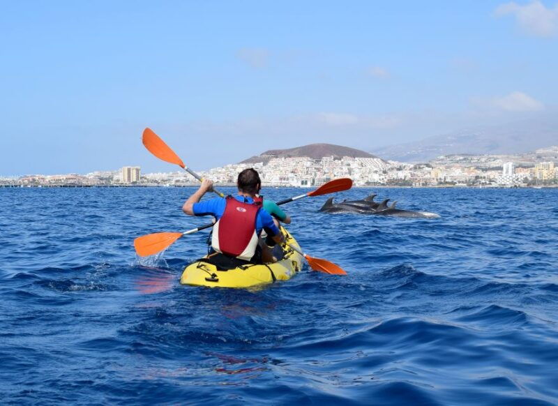 tenerife-kayak-and-snorkel-with-turtles-wetsuits-included