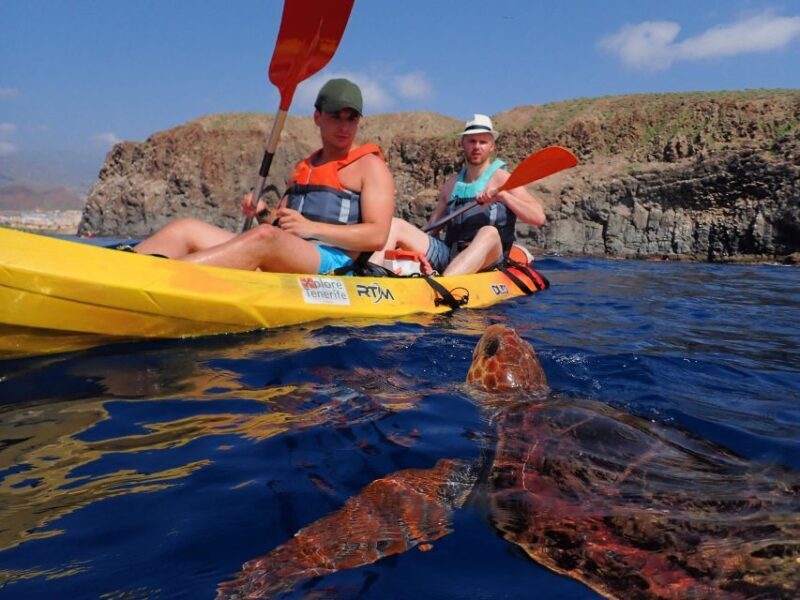 Tenerife: Kayak and Snorkel with Turtles with Free Videos - Guides and Equipment: Knowledge and Comfort Matter