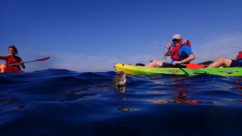 Tenerife: Kayak and Snorkel with Turtles with Free Videos - Authentic Experiences from Past Participants