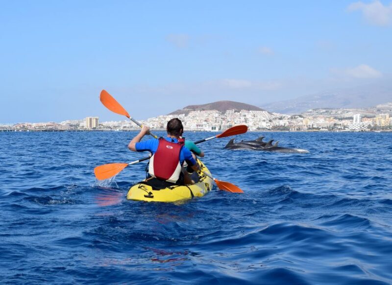 Tenerife: Kayak and Snorkel with Turtles with Free Videos - Who Is This Tour Best For?
