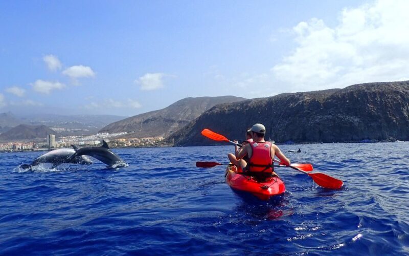 Tenerife: Kayak and Snorkel with Turtles with Free Videos - FAQ