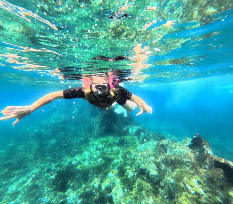 Tenerife: Kayak and Snorkeling Tour with Marine Life - Exploring Tenerife from the Sea: What to Expect