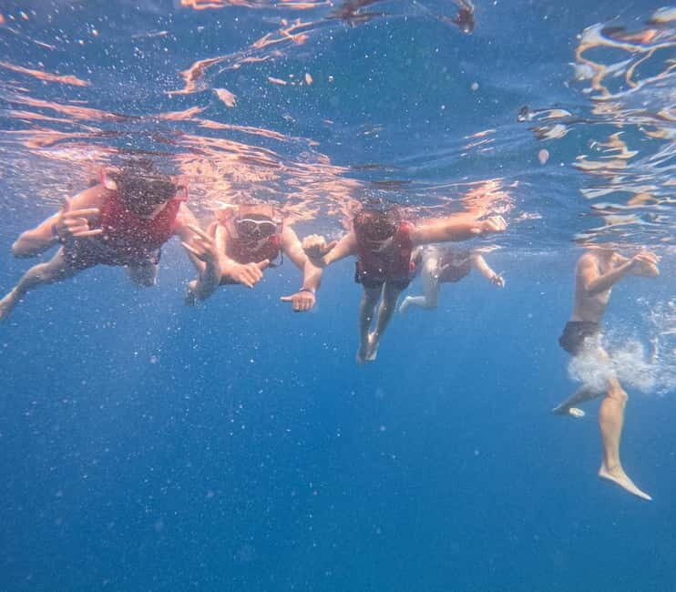 Tenerife: Kayak and Snorkeling Tour with Marine Life - The Practical Side: Who Should Consider This Tour