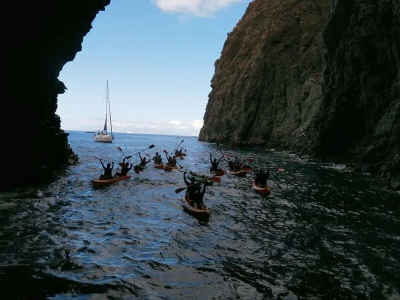 Tenerife: Kayak and Snorkeling Tour with Marine Life - The Sum Up: Who Will Love This Experience?