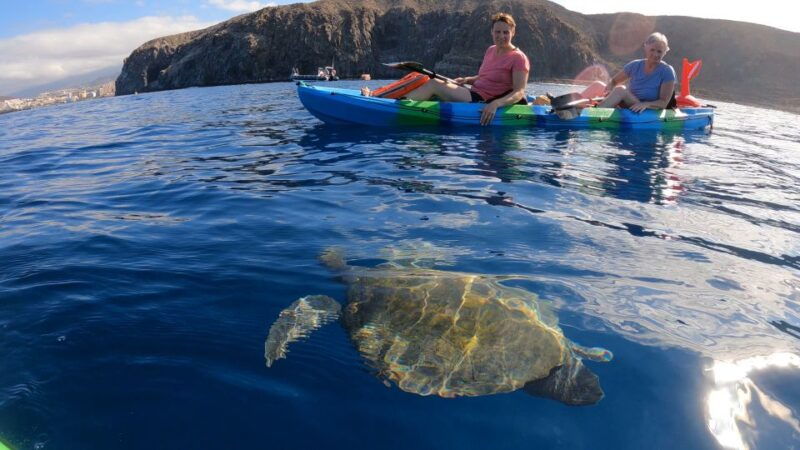 tenerife-kayak-and-snorkeling-tour-with-photos