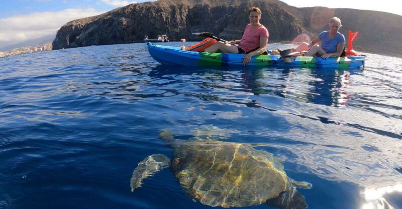 tenerife-kayak-and-snorkeling-tour-with-photos