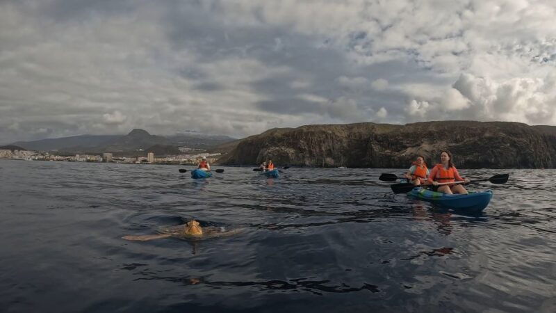 tenerife-kayak-and-snorkeling-tour-with-photos