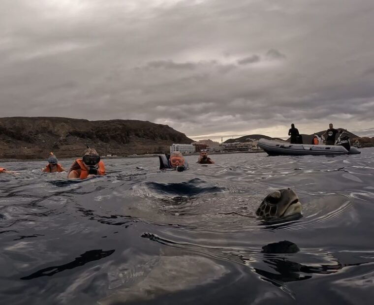 tenerife-kayak-and-snorkeling-tour-with-photos
