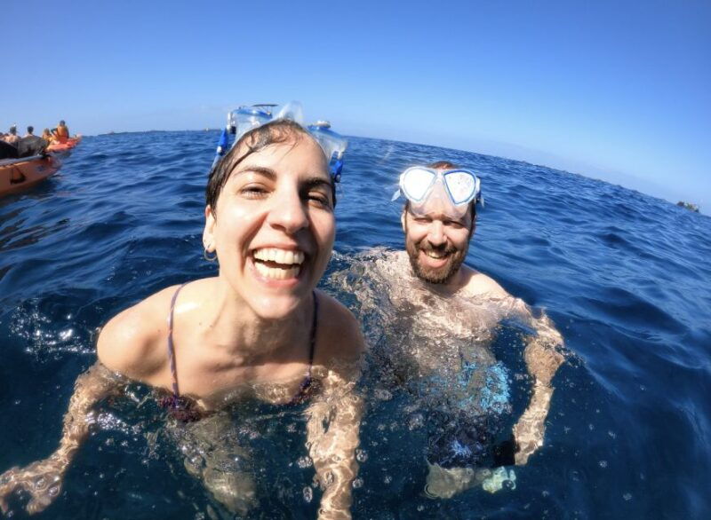 tenerife-kayak-safari-and-sea-turtle-snorkeling-with-photos