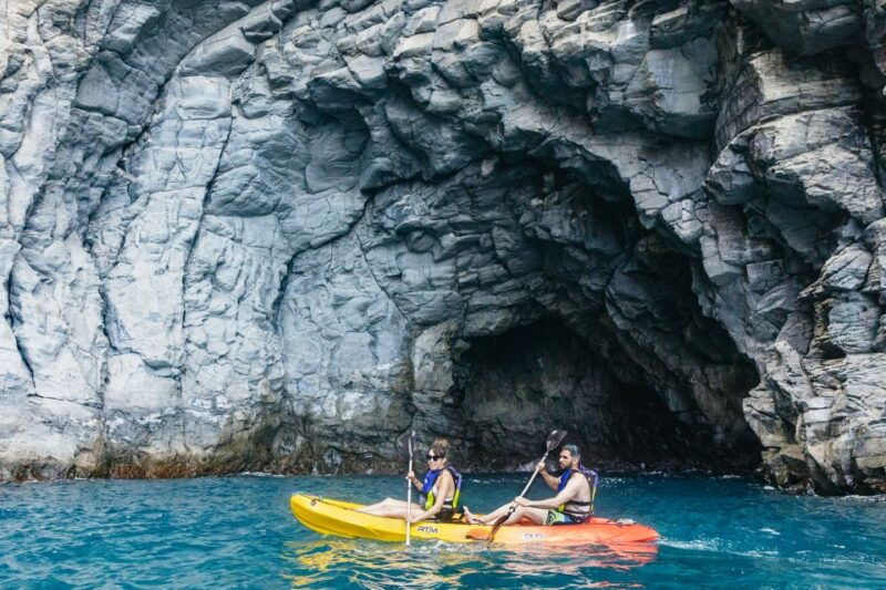 tenerife-kayak-safari-and-sea-turtle-snorkeling-with-photos