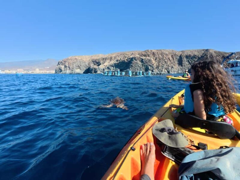 Tenerife: Kayak Sea Safari with Snorkel and Snacks - Who Is This Tour Best For?