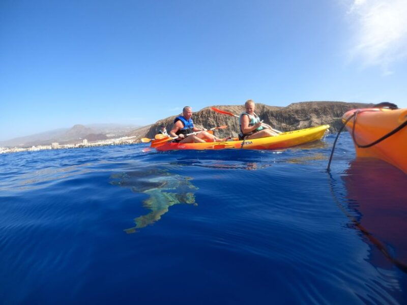 tenerife-kayak-snorkel-snacks-photos-sea-life-safari