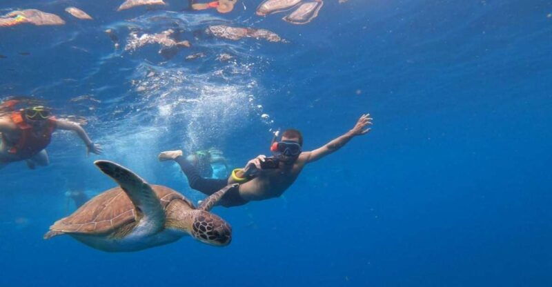 tenerife-kayak-snorkel-snacks-photos-sea-life-safari