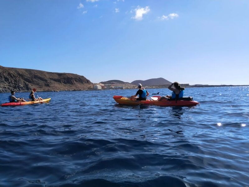 tenerife-kayak-snorkel-snacks-photos-sea-life-safari