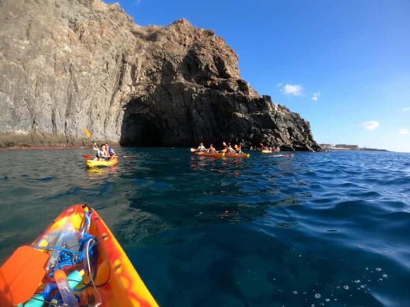Tenerife: Kayak & Snorkel Tour with Snacks & Sea Life Safari - The Itinerary Breakdown