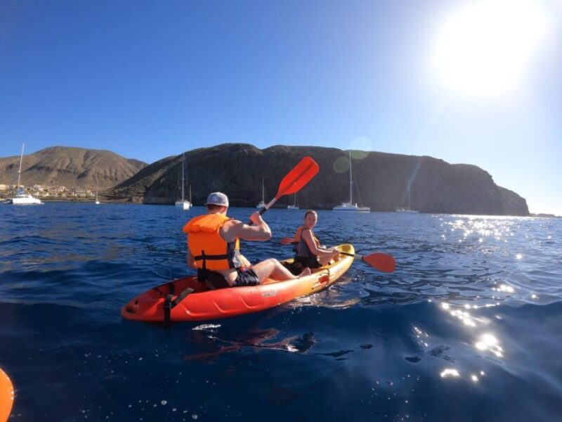 Tenerife: Kayak & Snorkel Tour with Snacks & Sea Life Safari - Wildlife & Snorkeling Highlights