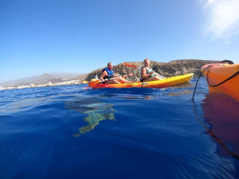 Tenerife: Kayak & Snorkel Tour with Snacks & Sea Life Safari - Pricing & Value Analysis
