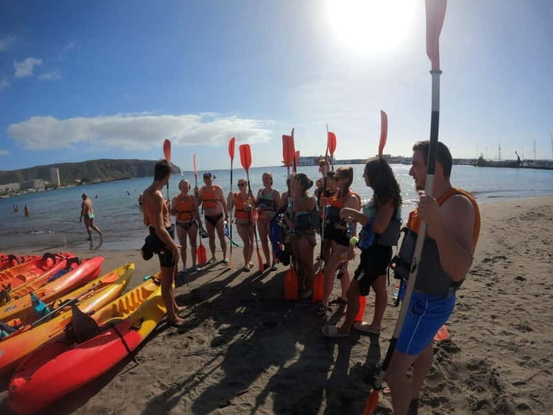 Tenerife: Kayak & Snorkel Tour with Snacks & Sea Life Safari - Final Thoughts: Who Is This Tour Best For?