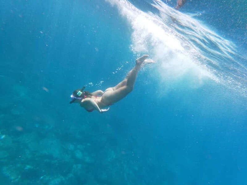 Tenerife: Kayak & Snorkel Tour with Turtles and Dolphins - Practical Details & Tips