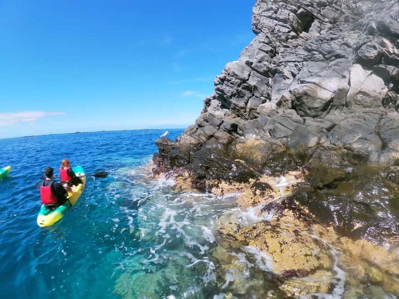 Tenerife: Kayak & Snorkel with Turtles & Dolphins w/Photos - Who Is This Tour For?
