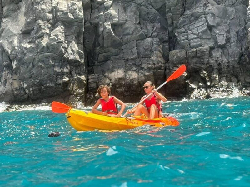 tenerife-kayak-snorkeling-marine-fauna-watching