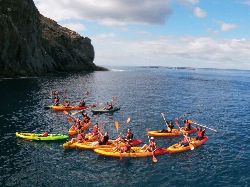 tenerife-kayak-snorkeling-marine-fauna-watching