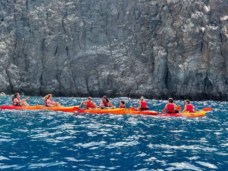 tenerife-kayak-snorkeling-marine-fauna-watching