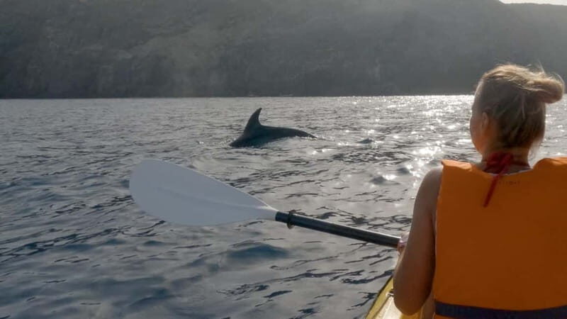 Tenerife: Kayak & Snorkeling Tour - Small Groups - What Reviewers Say