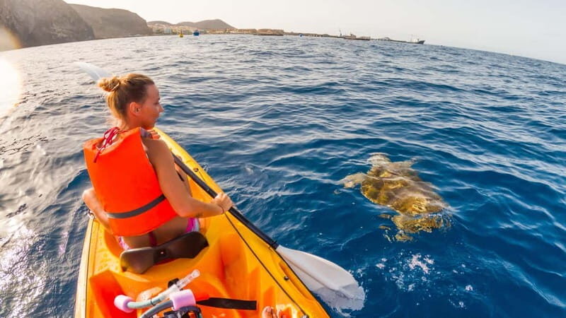 Tenerife: Kayak & Snorkeling Tour - Small Groups - The Sum Up