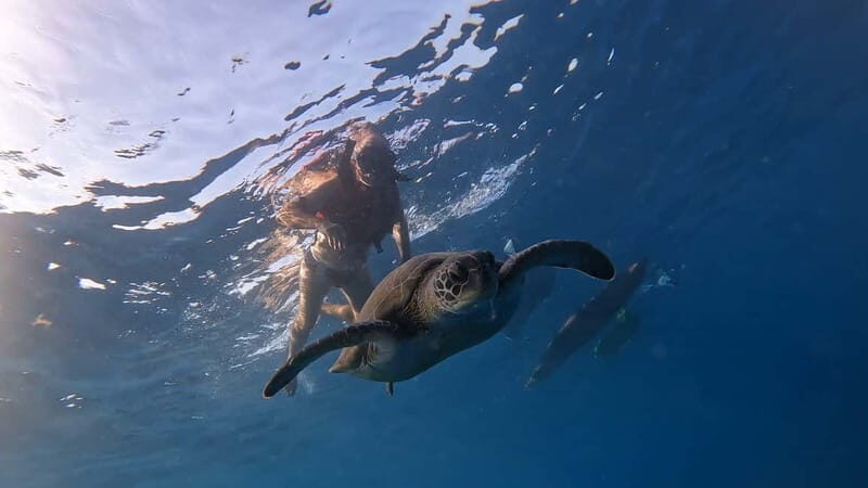 Tenerife: kayak tour with animals and underwater scooters - Authentic Experiences and Reviewer Insights