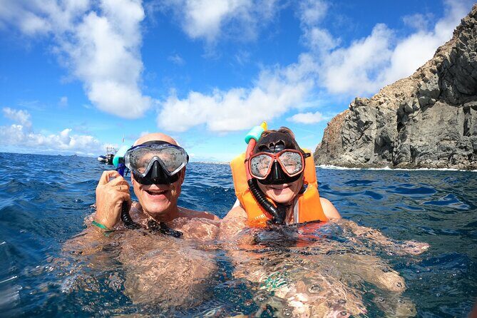 Tenerife: Kayaking and snorkeling, snacks, photos and marine life safari - An Overview of the Experience