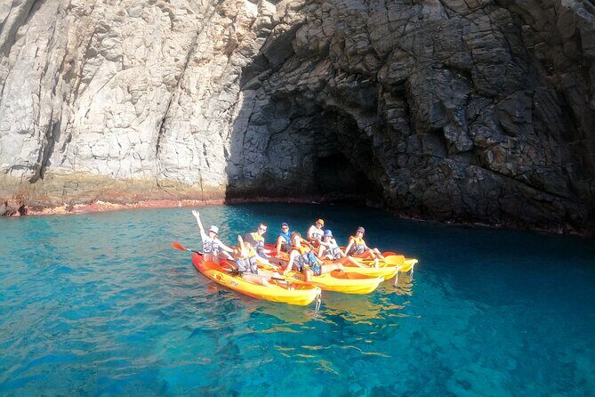 Tenerife: Kayaking and snorkeling, snacks, photos and marine life safari - What We Think the Experience Offers