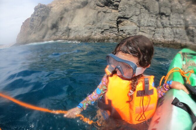 Tenerife: Kayaking and snorkeling, snacks, photos and marine life safari - Final Thoughts