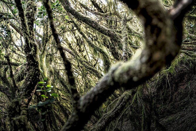 tenerife-landscape-photography-workshops-10-hours