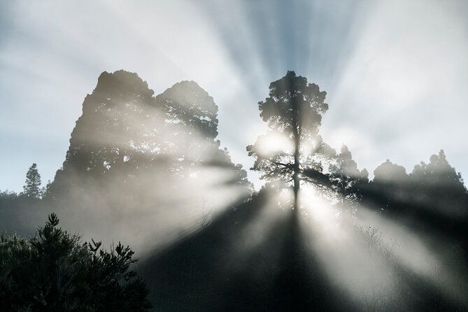 tenerife-landscape-photography-workshops-10-hours