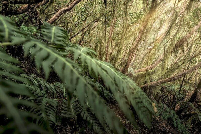 tenerife-landscape-photography-workshops-10-hrs