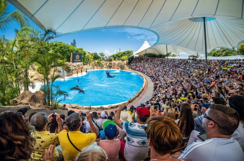 tenerife-loro-parque-entry-ticket