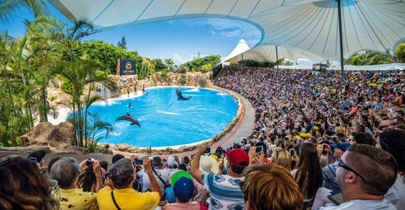 tenerife-loro-parque-entry-ticket
