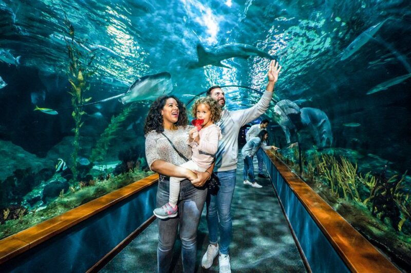 tenerife-loro-parque-entry-ticket