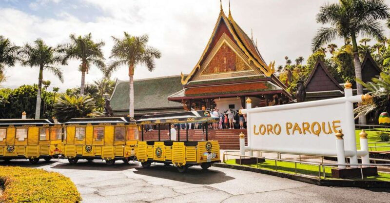 tenerife-loro-parque-siam-park-entry-ticket-with-transfer