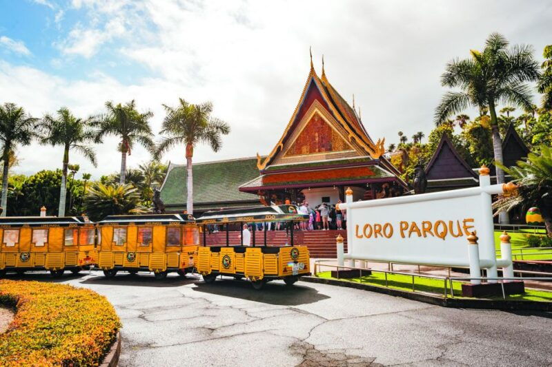 tenerife-loro-parque-siam-park-entry-ticket-with-transfer