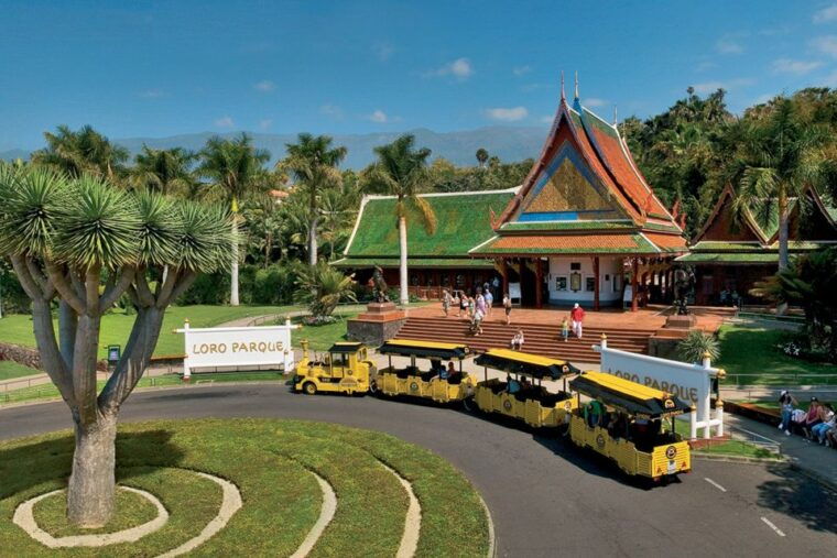 tenerife-loro-parque-siam-park-entry-ticket-with-transfer
