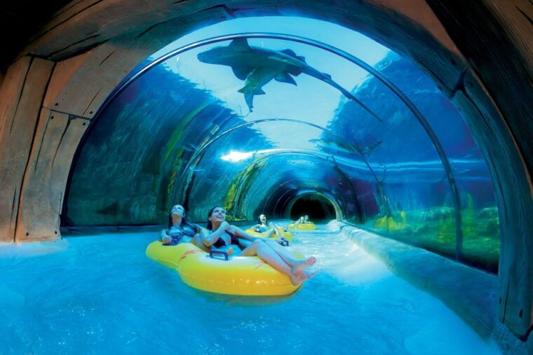 tenerife-loro-parque-siam-park-entry-ticket-with-transfer