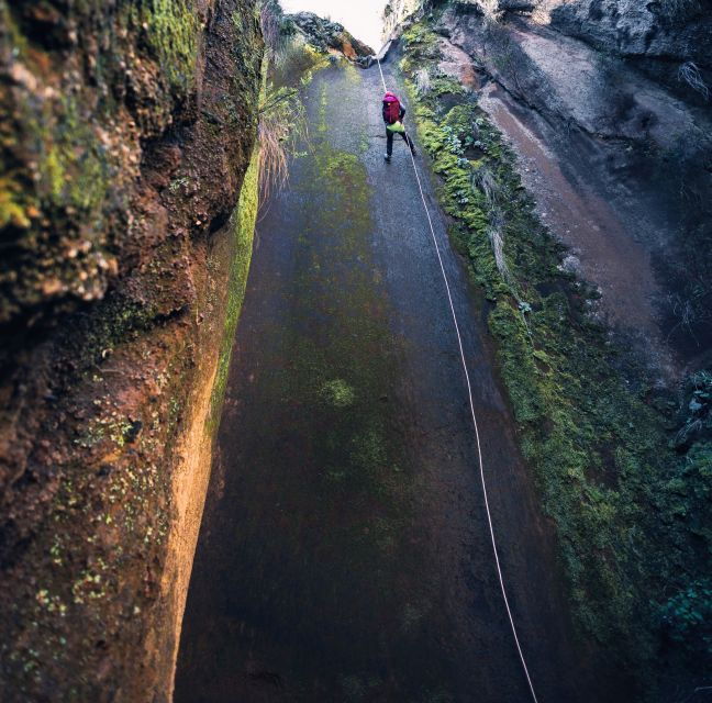 tenerife-los-arcos-canyoning-tour-with-guide