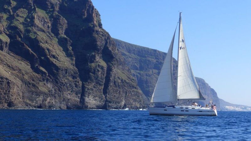 tenerife-los-gigantes-whale-watching-cruise-by-sail-boat