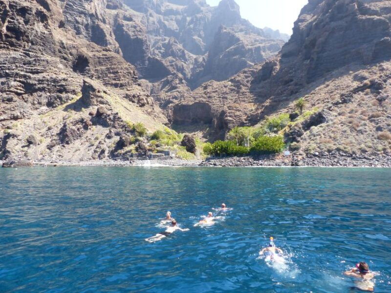 tenerife-los-gigantes-whale-watching-cruise-by-sail-boat