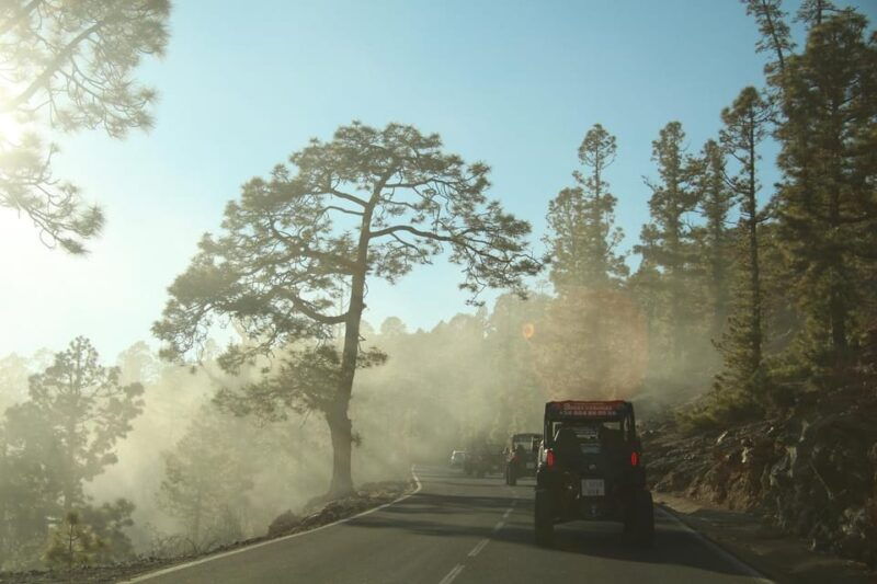 tenerife-morning-or-sunset-teide-buggy-tour