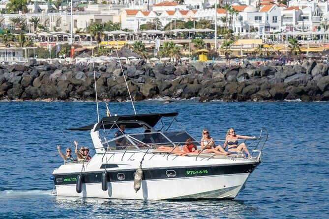 tenerife-motor-boat-whale-watching-snorkeling-experience