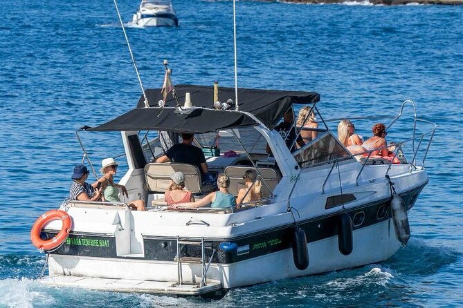 tenerife-motor-boat-whale-watching-snorkeling-experience