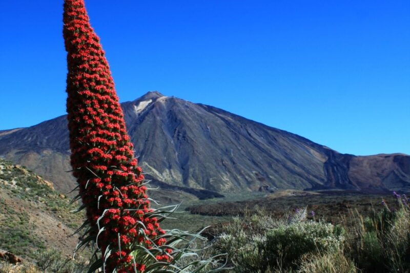 tenerife-mount-teide-quad-tour-in-tenerife-national-park